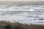 Voldsomme bølger