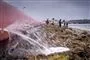 kæmpe watertube ved kysten