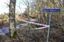 Politiet efterforsker i flere skovområder i sagen om den 22-årige Mia Skadhauge Stevns forsvinden. Blandt andet her ved Sulsted Kirkevej i Hammer Bakker i Nordjylland.