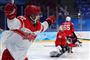ishockeyspillere set fra siden
