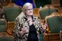 Liselott Blixt forklarer mandag, at hun har mistet tilliden til Morten Messerschmidt som formand. Blandt andet fordi interne magtspil og lækager ikke er blevet stoppet. (Arkivfoto)