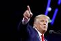 donald trump taler