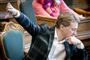 Morten Messerschmidt i Folketinget