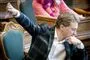 Morten Messerschmidt i Folketinget