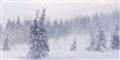Foto: Colourbox