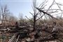 En smadret kirkegård ses her i Odesa efter et påstået missilangreb 23. april.