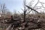 En smadret kirkegård ses her i Odesa efter et påstået missilangreb 23. april.