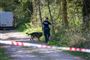 politiafspærring på vej i skov