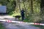 politiafspærring på vej i skov