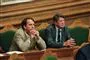 mand sidder i folketinget