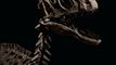 Dinosaur