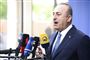 Mevlut Cavusoglu,