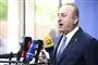 Mevlut Cavusoglu,