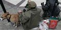 Foto: colourbox
