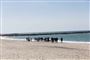Folk ved hval på strand