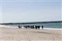 Folk ved hval på strand