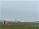 Et stort fly