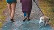 par lufter hund