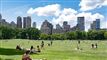 manhattan med bygninger i baggrunden