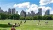 manhattan med bygninger i baggrunden