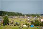 billede af  festivalpladsen i roskilde