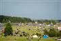 billede af  festivalpladsen i roskilde