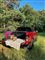 en pickup truck med picnic