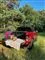 en pickup truck med picnic