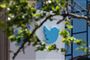twitter logo