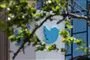 twitter logo