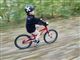 en dreng cykler i en skov