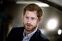 prins harry kigger