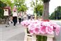 blomster i tivoli friheden