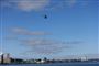 Helikopter over havn