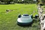 robotplæneklipper på græsplæne