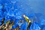 en gal Brøndby-tilhænger