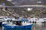 fiskebåde i havn i grønland