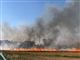 Stor markbrand