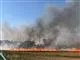 Stor markbrand