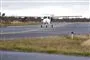fly lander
