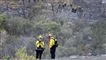 skov i brand