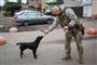 En ukrainsk soldat fodrer hund