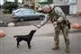 En ukrainsk soldat fodrer hund