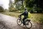 Cyklist i skoven