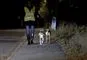 person går tur med to hunde med reflekser 