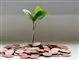grøn plante oven på mønter