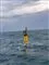 Bøje på havet