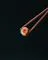 chopsticks med en makirulle imellem