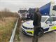 En død gris på motorvejen