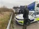 En død gris på motorvejen